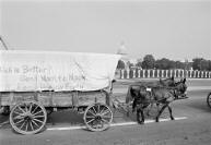 Poor People's Campaign demonstrators tour Washington DC in a mule pulled wagon train
